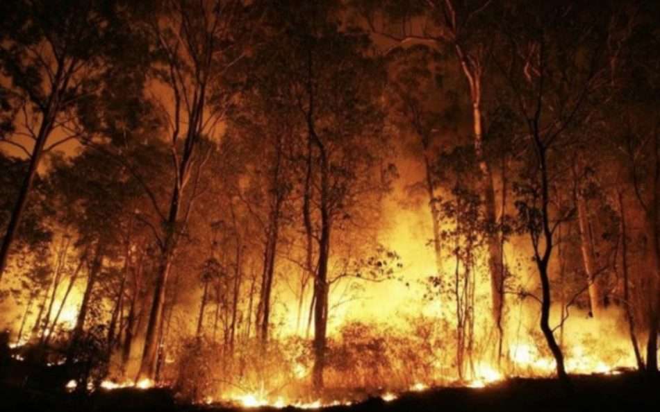 Floresta Amazônica sofre com as queimadas nos últimos dias e mobiliza o mundo. Foto - Divulgação